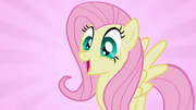 S02E07 Zachwycona Fluttershy