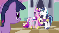 Shining Armor with Princess Cadance S02E25