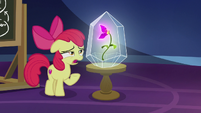 Apple Bloom "the most interestin' thing" S9E22