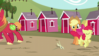 Applejack sees Apple Bloom hopping; Big Mac walks away S5E17