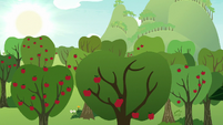 Apples falling out of a tree S9E10