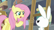 Fluttershy "I know you can't talk" S9E18