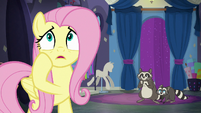 Fluttershy "what am I gonna do?" S8E4