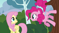 Pinkie Pie standing on a tree smiling at Fluttershy S4E16