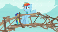 Rainbow -why didn't I think of branches- S8E9