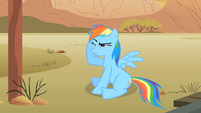 Rainbow Dash in pain S01E21