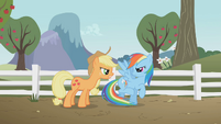 Rainbow and Applejack glaring at each other S1E3