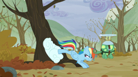 Rainbow pushes the cloud into the tree with her back legs S5E5