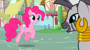 S02E18 Pinkie spotyka Zecorę