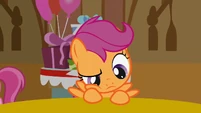 Scootaloo, thinking hard.