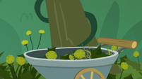 Small amount of weeds collected S5E16