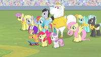 The Ponyville teams in the stadium S4E24