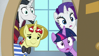 Twilight, Rarity, Flim, and Neighsay look inside S8E16