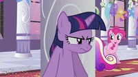 Twilight stalking Cadance.