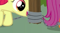 Apple Bloom chains herself to a post S9E12.png (873 KB)