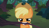 Applejack with the branch S3E9