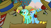 Rainbow Dash in awe.