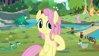 Older Fluttershy at Sweet Feather Sanctuary S9E26
