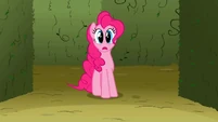 What does Pinkie see?