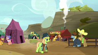 Ponies enjoying the Appleloosa rodeo S5E6