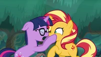"BECAUSE WE'RE PONIES!"