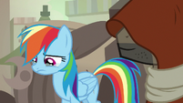 Rainbow Dash crying for A. K. Yearling S7E18