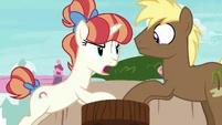 Rainbow Stars "I got here first!" S7E15.png (936 KB)