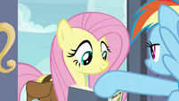 Rainbow pushes down Fluttershy's book S9E21