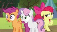 Sweetie Belle and Scootaloo shocked; Apple Bloom feeling nervous S5E17