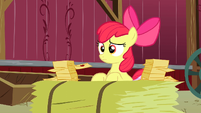 Apple Bloom telling Granny Smith all her RSVPs S3E8