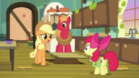 Applejack -anytime Big Mac and I ever asked- S7E13