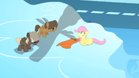 Rainbow Dash's shadow can be visible