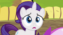 Filly Rarity in distressed shock S6E14