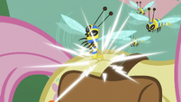 Flash bee stinging Fluttershy's flank S7E20