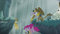 Gilda pulling Pinkie and Rainbow to safety S5E8