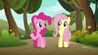 Pinkie Pie "I don't think we need to worry" S6E18.png (896 KB)
