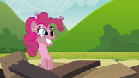 Pinkie Pie clone coming out of the tower remains S3E03