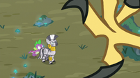 Roc attacks Spike and Zecora with its claws S8E11