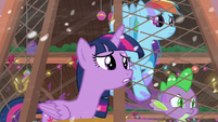 Twilight, Dash, and Spike see figure jump out window S8E16