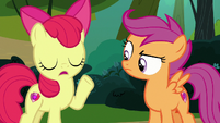 Apple Bloom "have to find their own hay" S7E21