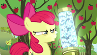 Apple Bloom sees a container full of twittermites S5E04