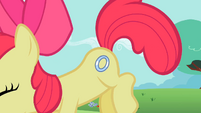 Apple Bloom showing cutie mark S2E06