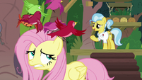 Birds fluttering in a panic over Fluttershy S9E18