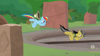 Daring and Rainbow fly into the temple S9E21