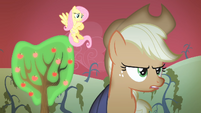 Fluttershy, Applejack and the tree S4E07