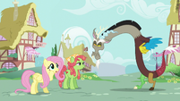 Fluttershy ''Es un cumplido, Discord'' T5E7