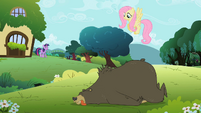 Fluttershy Bear K.O. S2E3