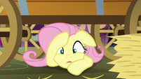 Fluttershy busted S5E21