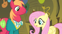 Fluttershy confused S4E14