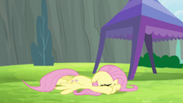 Fluttershy cowers down S4E10